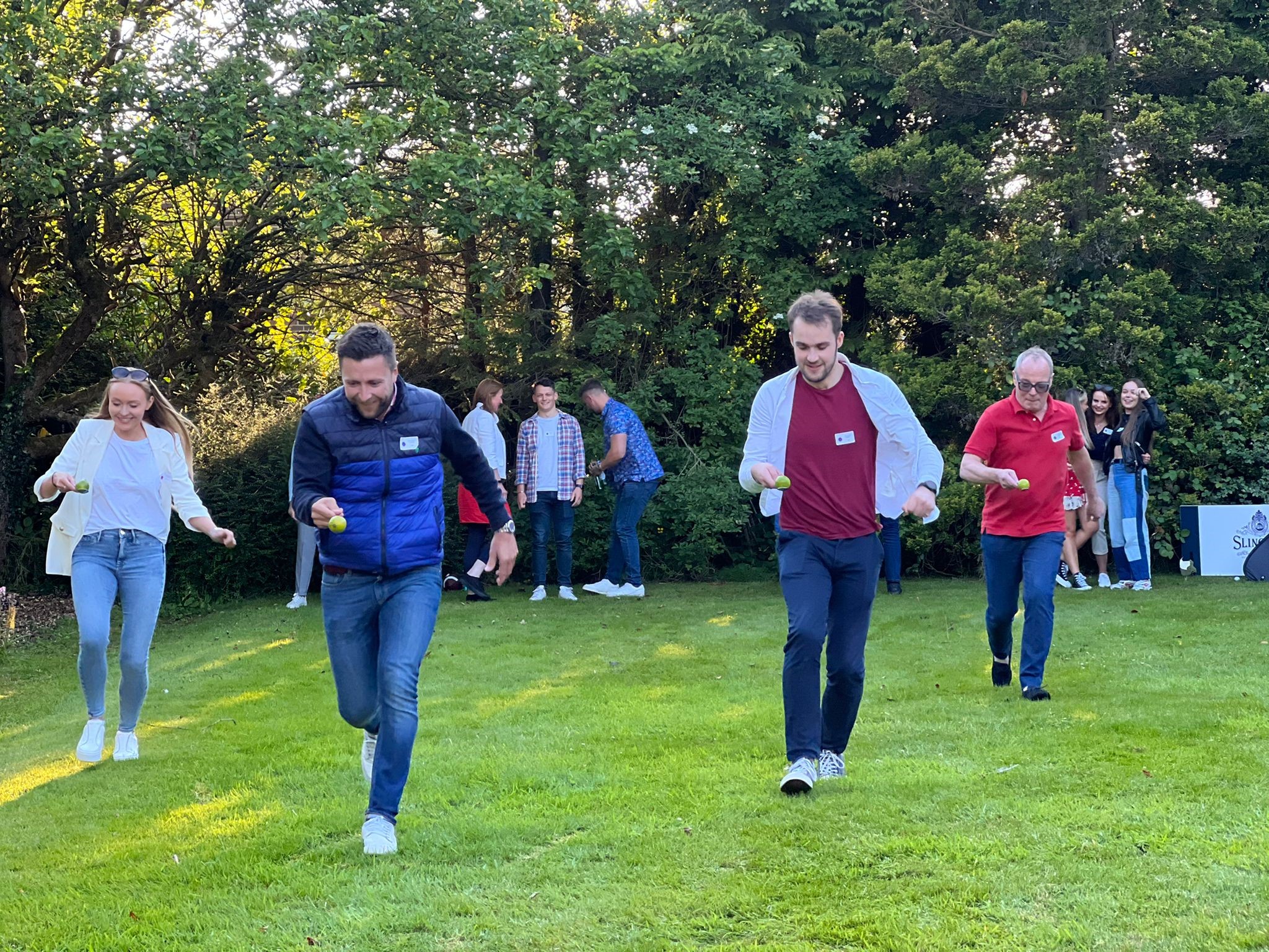 Our Jubilee Garden Party Impulse Decisions